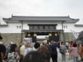 京都二条城の枝垂桜と上賀茂神社の桜