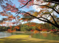 世界遺産・平泉の紅葉（毛越寺＆中尊寺）