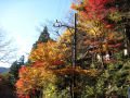 揖斐川町　横蔵寺～谷汲の紅葉