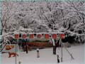雪の日の「ほのぼの動物園」