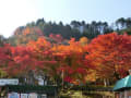 紅葉2013　in　滋賀