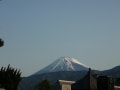 朝の散歩（富士山、駿河湾のシラス漁）