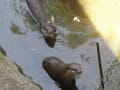 上野動物園