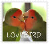 LOVEBIRD♡