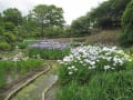 石橋の水月公園へ