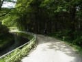 神社おそうじ隊、福島見参！磐椅神社