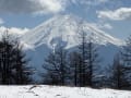 三ツ峠山