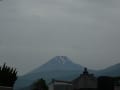 朝の散歩（富士山、釣り人、花々）