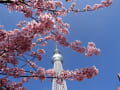 東京散歩　浅草～スカイツリー