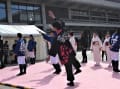 京都桜よさこい祭り