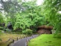 新緑の天龍寺塔頭宝厳院