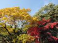 深大寺・神代植物園