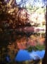 セザンヌの水彩画のような晩秋の池
