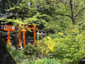 二条城と平野神社