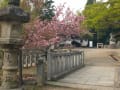 尾張冨士大宮浅間神社