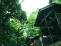 【廣峯神社/白弊山】おりょうの万葉浴  