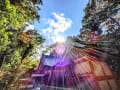 ✨運気が上がる【光輝く神社】⛩️