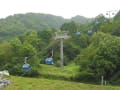 箱館山ゆり園