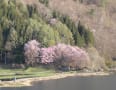 中綱湖～白馬