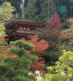 浄瑠璃寺