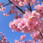 写真徒然_2016