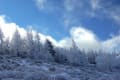 [6]ブログ 霧氷の美ヶ原高原 その3 06.jpg