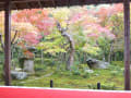 2013年京都紅葉情報　圓光寺（えんこうじ）