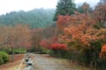 高源寺・養父(やぶ）神社の紅葉