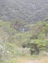 ふるさと奄美の景勝地　フナンギョの滝