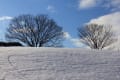 雪景色