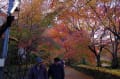 湖南三山・長寿寺