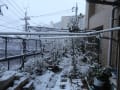 農園/首都圏大雪(02/08)