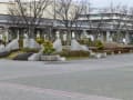 [3]梅小路公園花壇