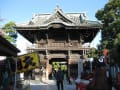 柴又の帝釈天、参道、帝釈堂彫刻ギャラリー、大庭園