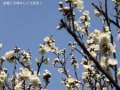 2/5ご近所ショットから