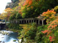 箱根　塔ノ沢