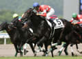 [2]2013/8/17 ２歳未勝利 芝１８００ｍ 藤岡康騎手