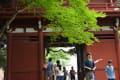 紫陽花寺　本土寺　東漸寺　小金宿　元祖マツキヨ