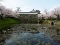 福岡散歩（舞鶴公園・大濠公園・福岡市動植物園等々）２０１７年４月