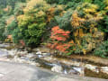 室生寺と長谷寺の紅葉