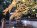 鳳源寺と尾関山公園の紅葉