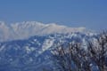 春山一番（その4）頚城山塊