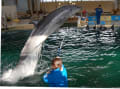 [4]冬ののとじま水族館