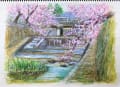 「夙川」の桜