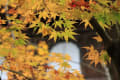 ２０１２年　京もみじ　－銀閣寺－