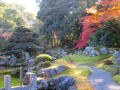 京都紅葉巡り：醍醐寺！