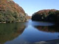 室池園地の紅葉　大阪府四条畷市