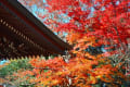 延命寺と白井聖地公園