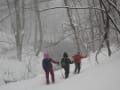 白神山地・神秘の湖十二湖トレッキング