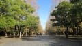 万博公園11月